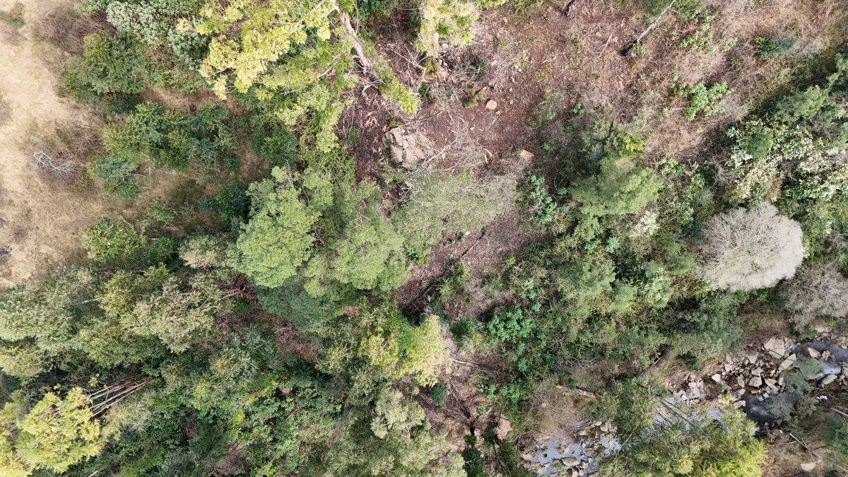 Drone 3d model of NYANDENI HARDWARE Jumbo in boxer libode Aerial drone 3d model in Libode, Ec, ZA