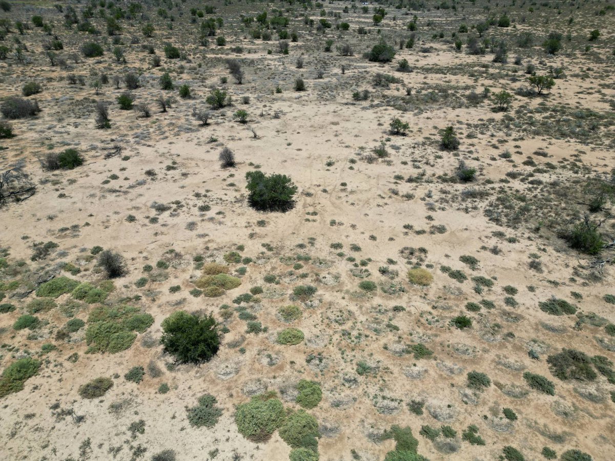 Drone 3d model of TotalEnergies Mountain in mountain zebra Aerial drone 3d model in Mount Zebra National Park, Ec, ZA