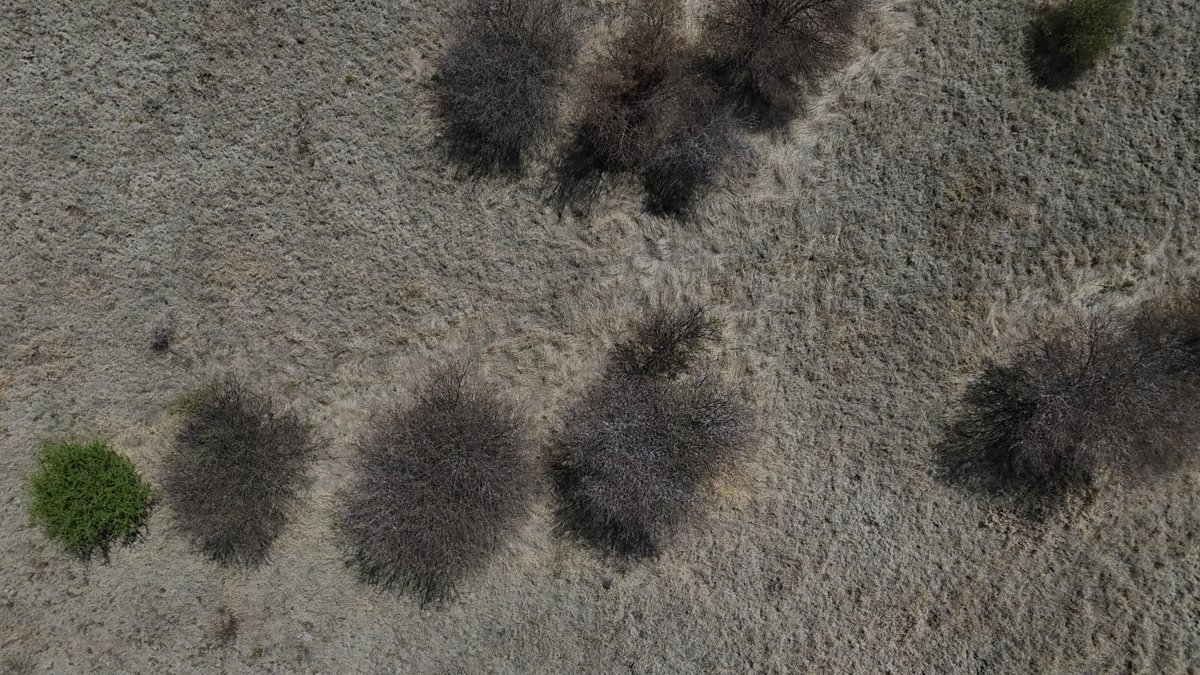 Drone 3d model of PTY LTD Daybreak Merinovlakte Aerial drone 3d model in Waterberg District Municipality, Lp, ZA