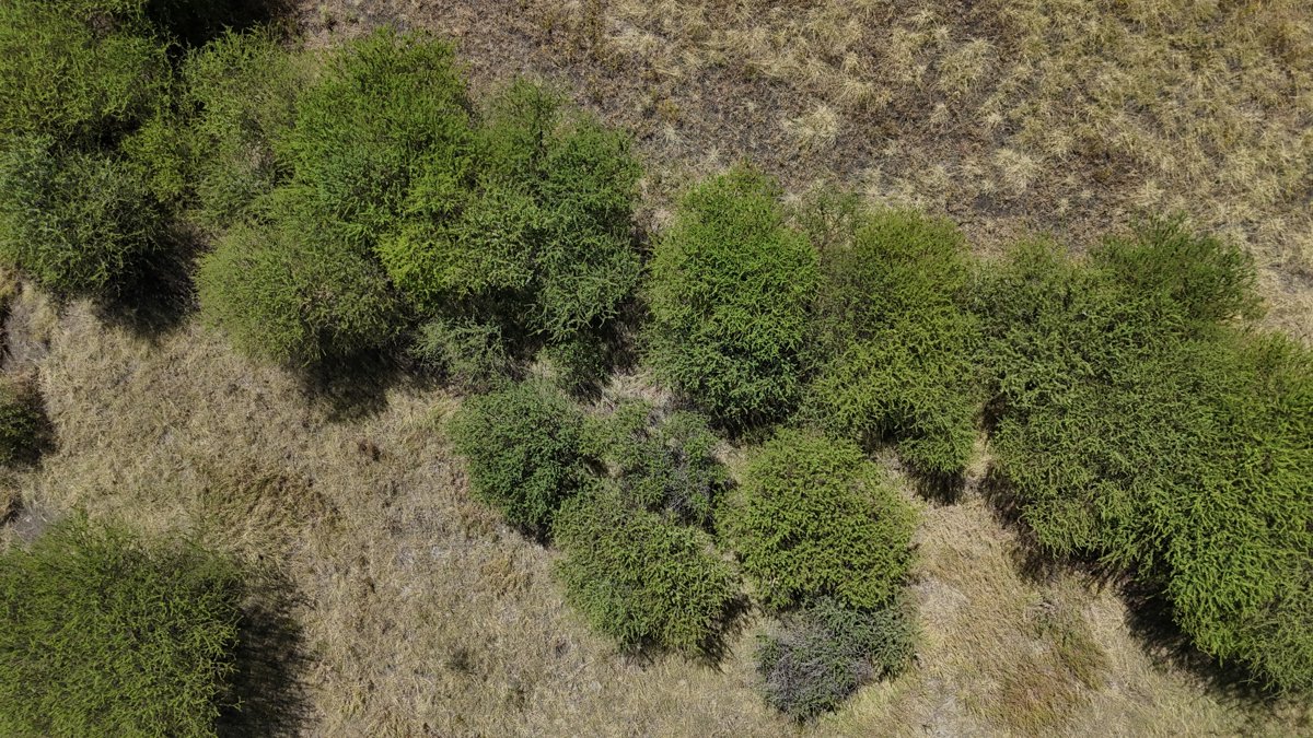 Drone 3d model of PTY LTD Mora Farm Project Aerial drone 3d model in Waterberg District Municipality, Lp, ZA