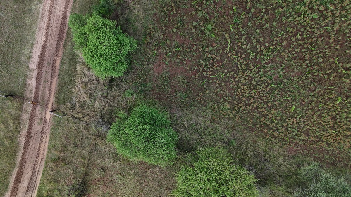 Drone 3d model of PTY LTD Mora Farm Project Aerial drone 3d model in Waterberg District Municipality, Lp, ZA