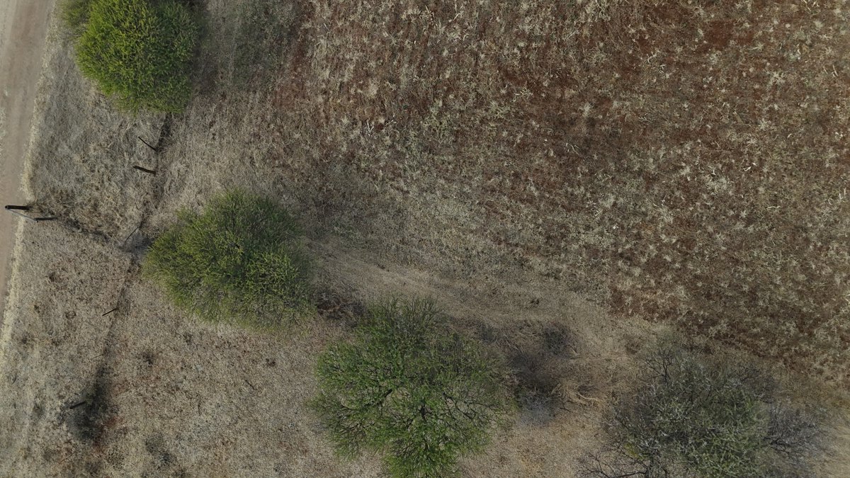 Thumbnail preview for 3D Drone Model of Pty Ltd Mora Farm Project in Waterberg District Municipality, Limpopo, South Africa