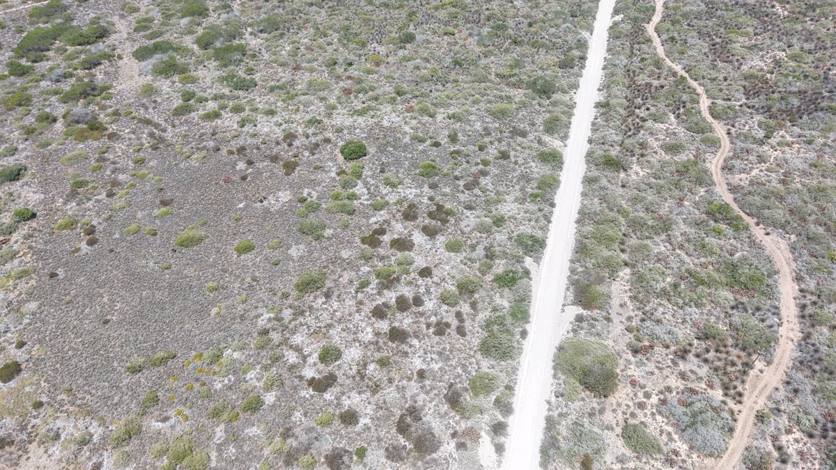 Drone 3d model of Kanon Private Nature Reserve Cannon Valley Estate in kanon private nature Aerial drone 3d model in Cape Vacca, Wc, ZA