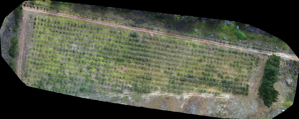 Thumbnail preview for Drone Map of Hill House Vioolskloof Farm Tesselaarsdal in Overberg District Municipality, Wc, South Africa